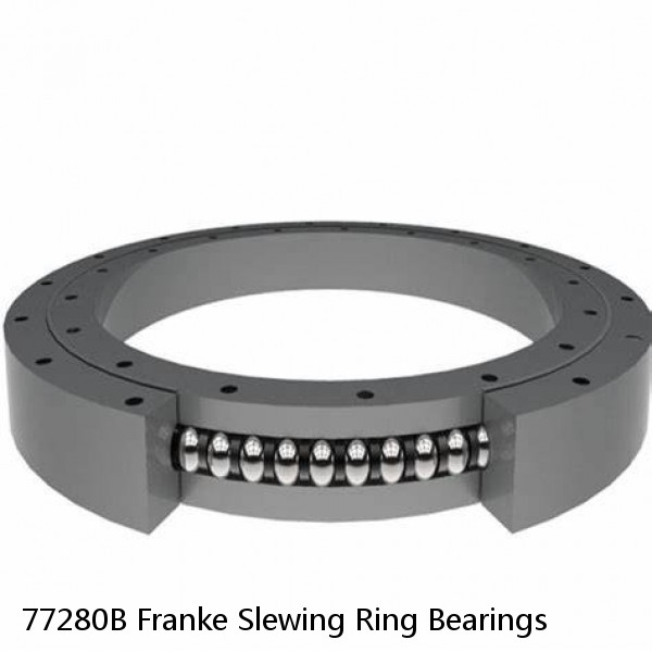 77280B Franke Slewing Ring Bearings