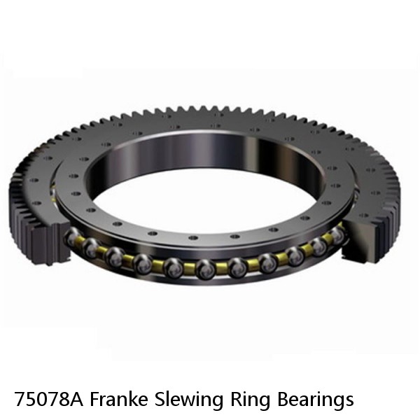 75078A Franke Slewing Ring Bearings