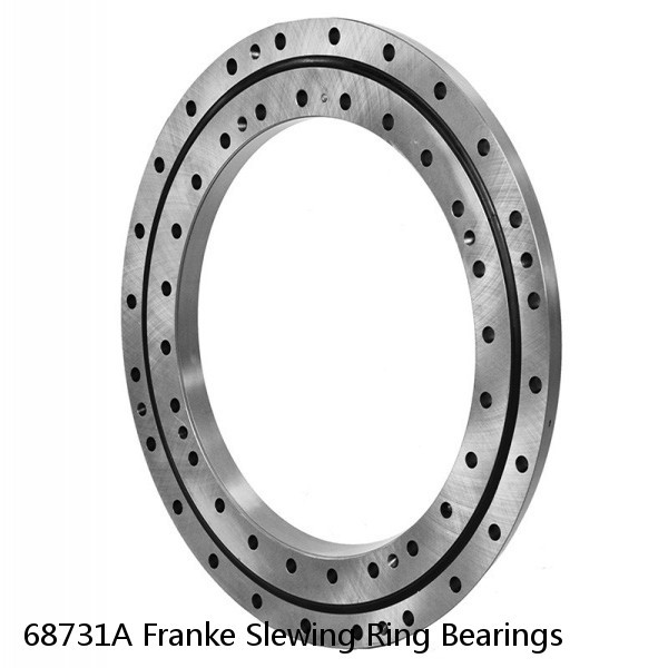 68731A Franke Slewing Ring Bearings