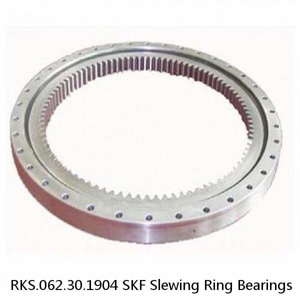 RKS.062.30.1904 SKF Slewing Ring Bearings