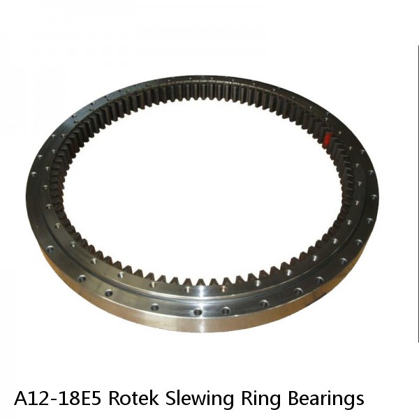 A12-18E5 Rotek Slewing Ring Bearings