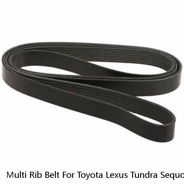 Multi Rib Belt For Toyota Lexus Tundra Sequoia LX570 GX460 Land Cruiser YQ36N1