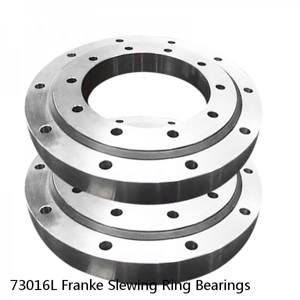 73016L Franke Slewing Ring Bearings