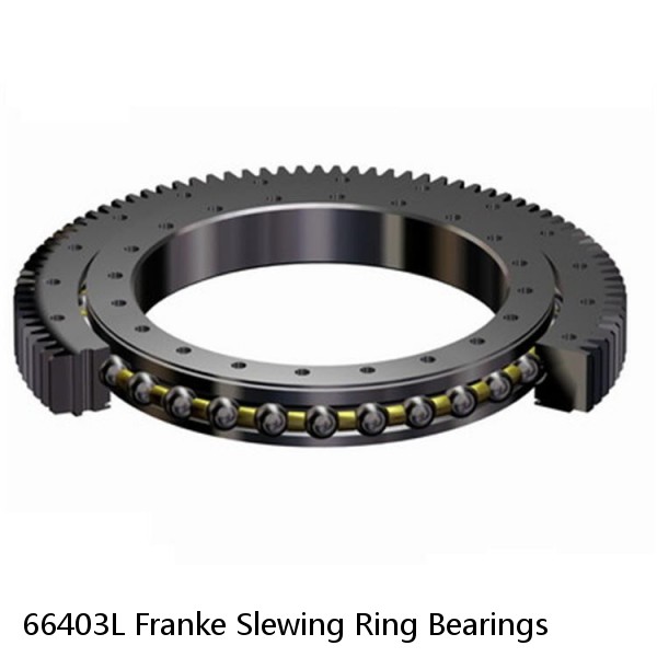 66403L Franke Slewing Ring Bearings