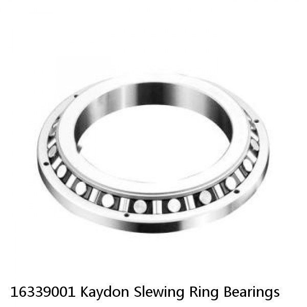 16339001 Kaydon Slewing Ring Bearings