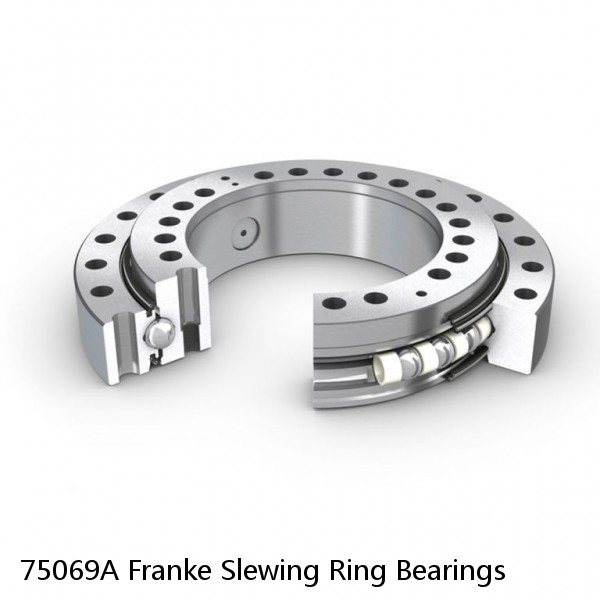 75069A Franke Slewing Ring Bearings