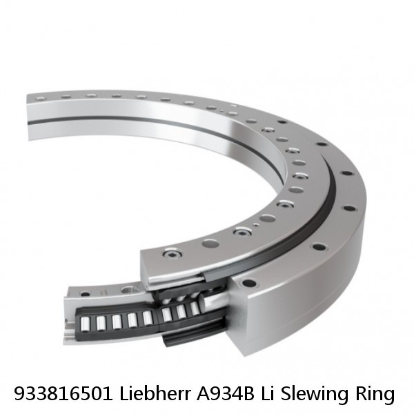 933816501 Liebherr A934B Li Slewing Ring