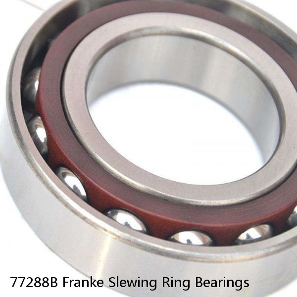 77288B Franke Slewing Ring Bearings