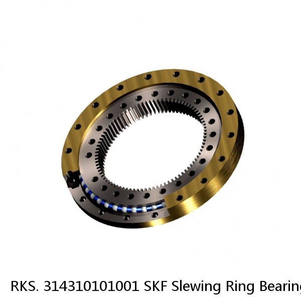 RKS. 314310101001 SKF Slewing Ring Bearings