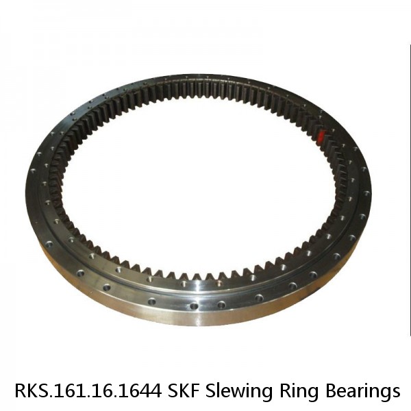 RKS.161.16.1644 SKF Slewing Ring Bearings