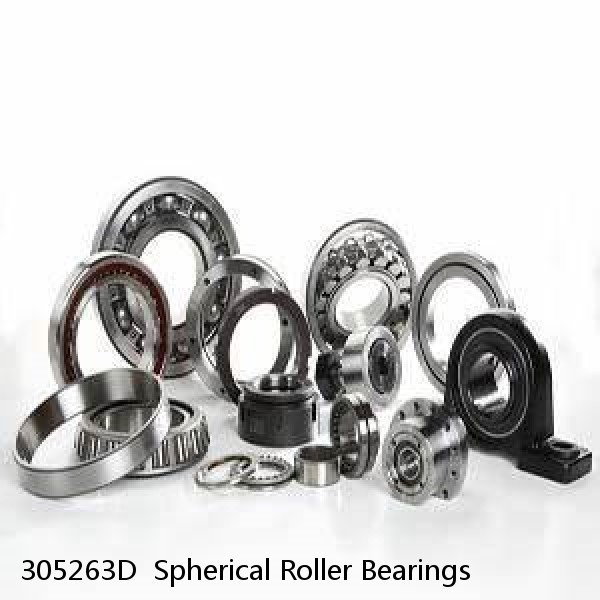 305263D  Spherical Roller Bearings