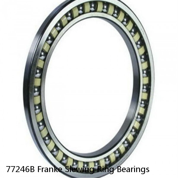 77246B Franke Slewing Ring Bearings