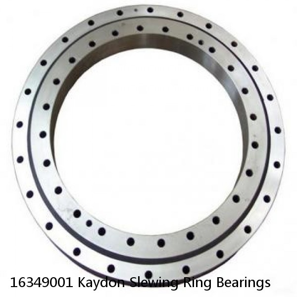 16349001 Kaydon Slewing Ring Bearings