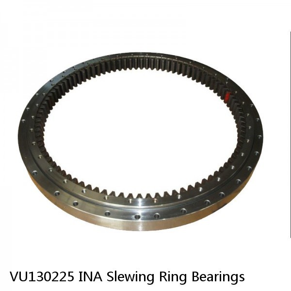 VU130225 INA Slewing Ring Bearings