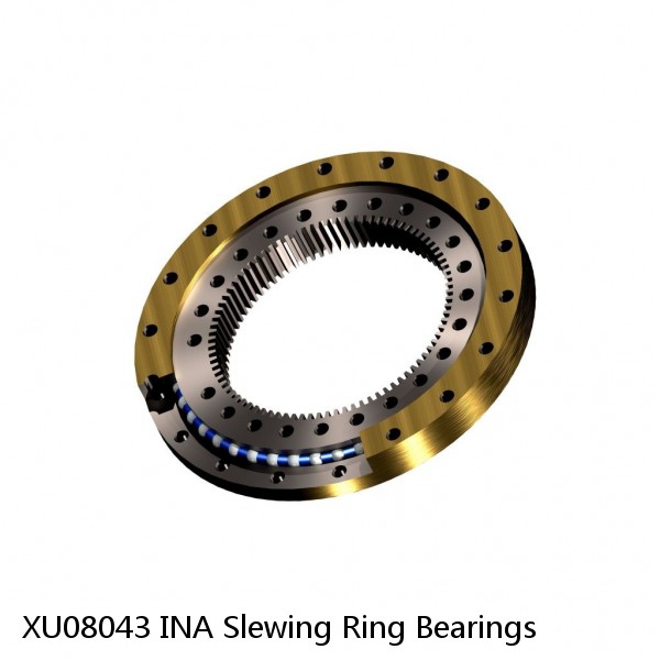 XU08043 INA Slewing Ring Bearings