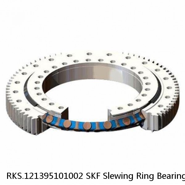 RKS.121395101002 SKF Slewing Ring Bearings