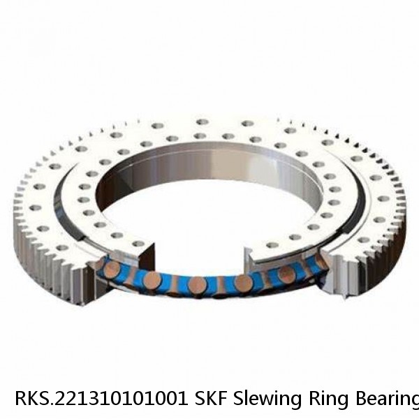 RKS.221310101001 SKF Slewing Ring Bearings