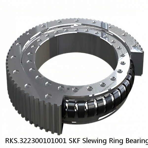 RKS.322300101001 SKF Slewing Ring Bearings