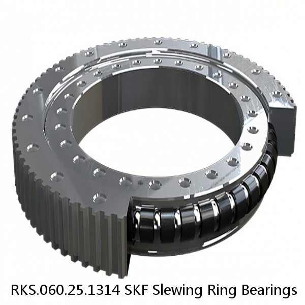 RKS.060.25.1314 SKF Slewing Ring Bearings