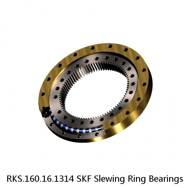 RKS.160.16.1314 SKF Slewing Ring Bearings