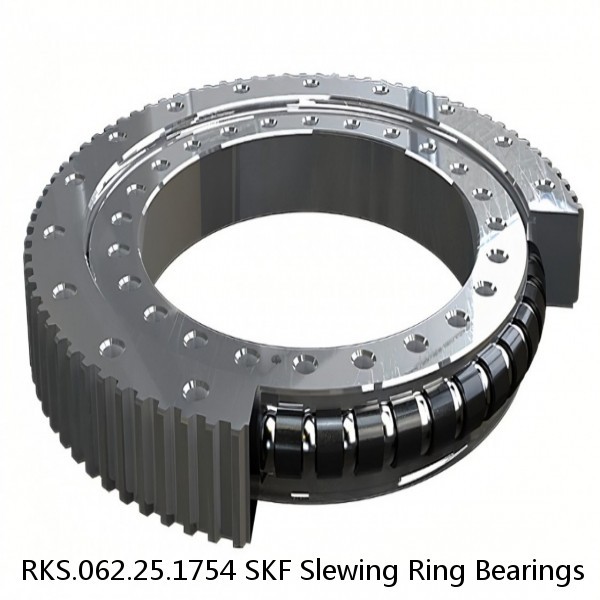 RKS.062.25.1754 SKF Slewing Ring Bearings