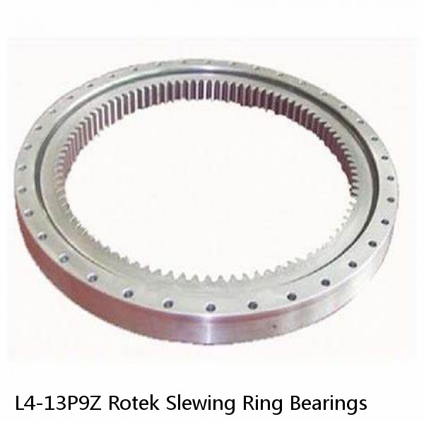 L4-13P9Z Rotek Slewing Ring Bearings