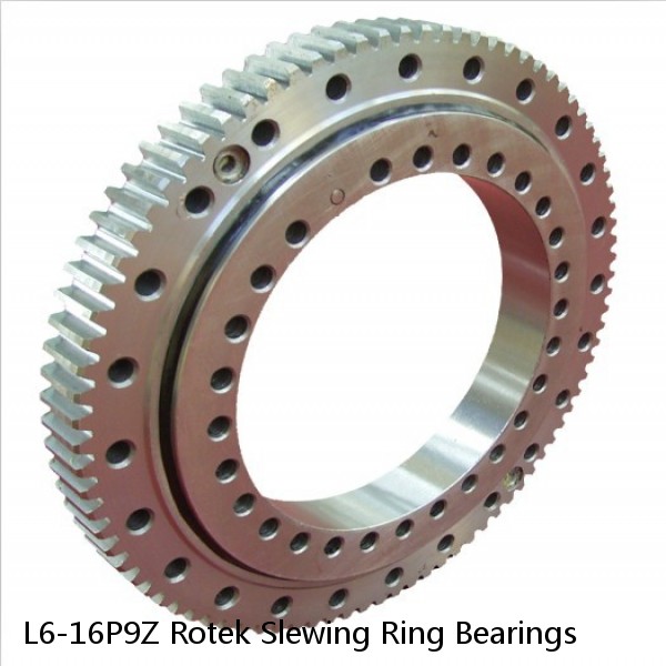 L6-16P9Z Rotek Slewing Ring Bearings