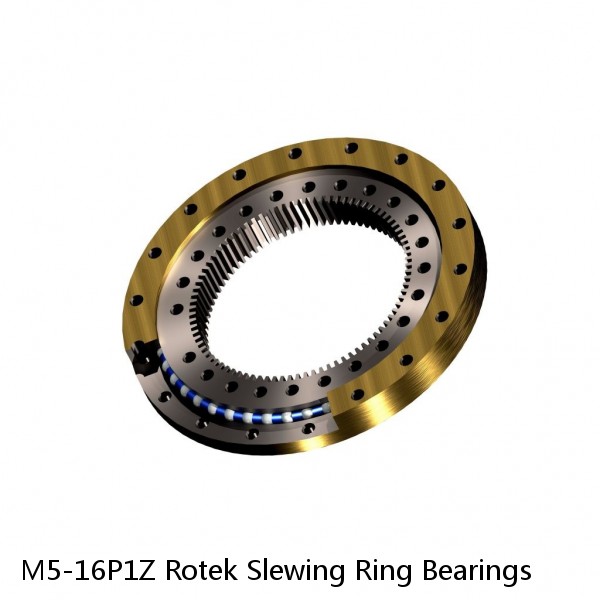 M5-16P1Z Rotek Slewing Ring Bearings