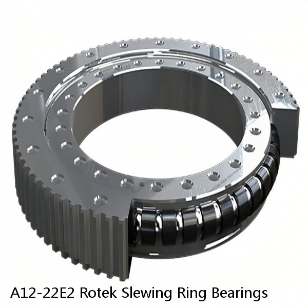 A12-22E2 Rotek Slewing Ring Bearings