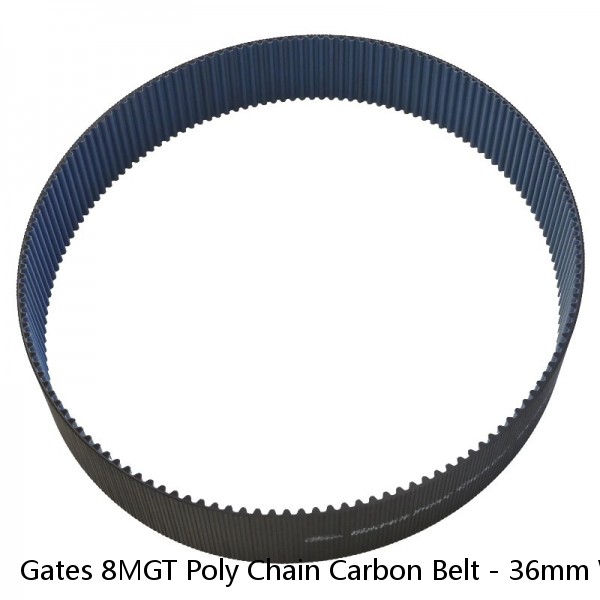 Gates 8MGT Poly Chain Carbon Belt - 36mm Width - 8mm Pitch - Choose Your Length 