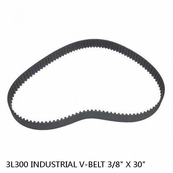 3L300 INDUSTRIAL V-BELT 3/8" X 30"