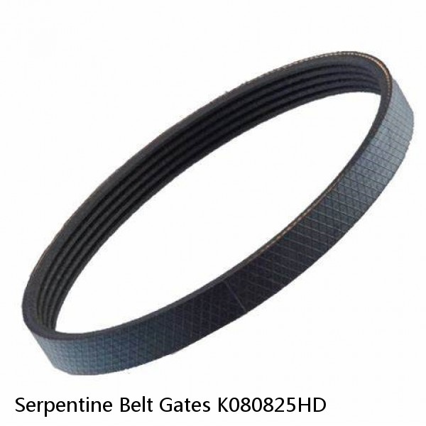 Serpentine Belt Gates K080825HD