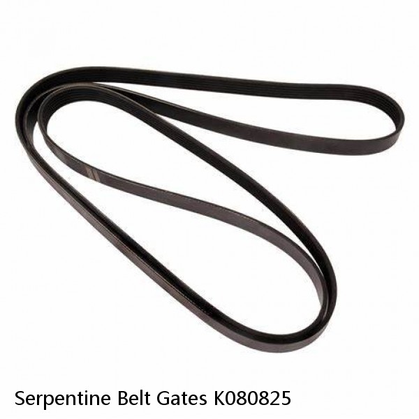 Serpentine Belt Gates K080825