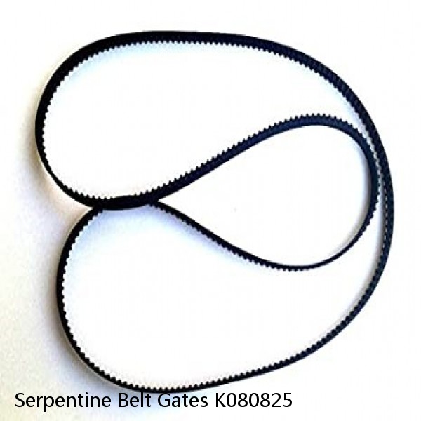 Serpentine Belt Gates K080825