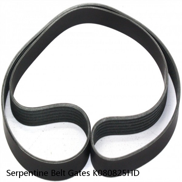 Serpentine Belt Gates K080825HD
