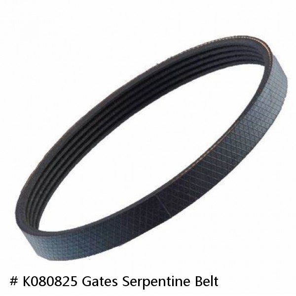 # K080825 Gates Serpentine Belt